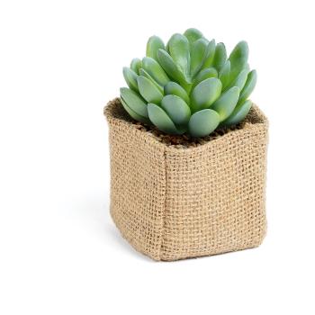 Plantă artificială Kave Home Pachyphytum