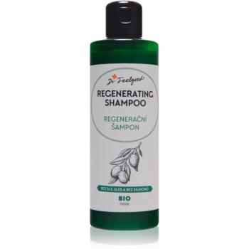 Dr. Feelgood BIO Regenerating sampon pentru regenerare pentru păr 200 ml