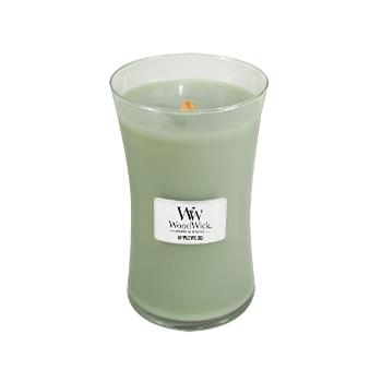 WoodWick Lumânare parfumată Applewood 609,5 g