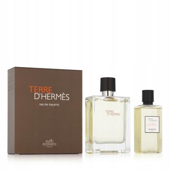 Hermes Terre D` Hermes - EDT 100 ml + gel de duș 80 ml