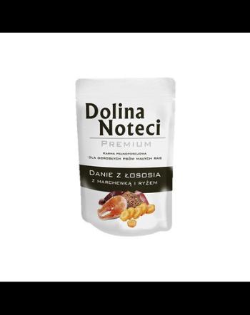 DOLINA NOTECI Premium cu somon, morcovi și orez 100 g