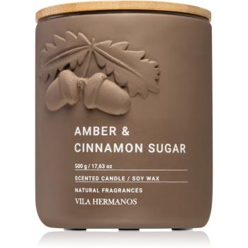 Vila Hermanos Amber & Cinnamon Sugar lumânare parfumată 500 g