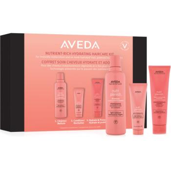 Aveda Nutriplenish™ Hydrating Haircare Kit set cadou (pentru păr)