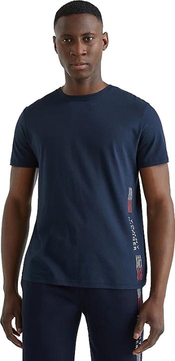 Tommy Hilfiger Tricou bărbătesc Regular Fit UM0UM02430-DW5 M