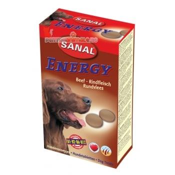 Sanal Dog Energy /Beef