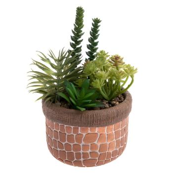 Plantă suculentă artificială (înălțime 17 cm) – Dakls