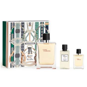 Hermes Terre D´ Hermes - EDT 100 ml + balsam după ras 40 ml + EDT 12,5 ml