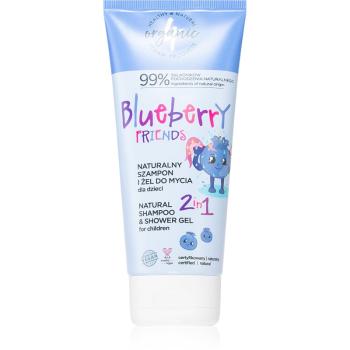 4Organic Blueberry 2 in 1 gel de dus si sampon pentru copii 200 ml