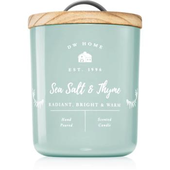 DW Home Farmhouse Sea Salt & Thyme lumânare parfumată 240 g