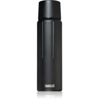 Sigg Gemstone IBT termos culoare Obsidian 750 ml