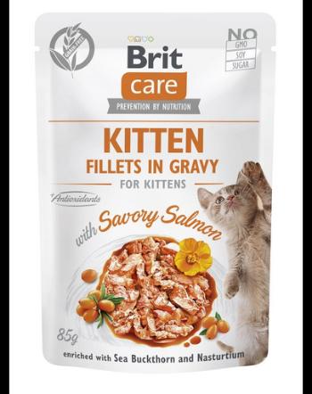 BRIT CARE Fillets in Gravy Pouch Kitten Savory Salmon 24x85g Hrana umeda pisoi, cu somon in sos