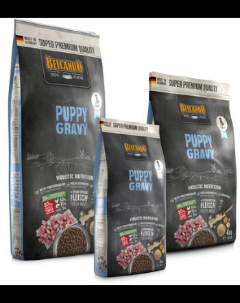 BELCANDO Puppy Gravy hrana uscata pentru pui, varsta 4 luni+, 1 kg