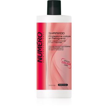 Brelil Professional Colour Protection Shampoo șampon pentru păr vopsit 1000 ml