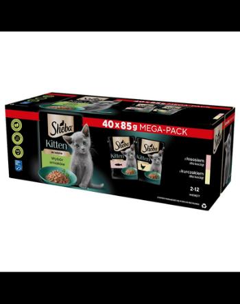 SHEBA Kitten Hrana umeda pentru pisoi 40x85 g cu somon si pui in sos