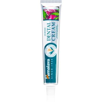 Himalaya Herbals Oral Care Ayurvedic Dental Cream pastă de dinți cu extract din plante cu flor mix de culori 100 g