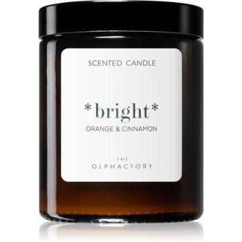 Ambientair The Olphactory Orange & Cinnamon lumânare parfumată Bright 135 g