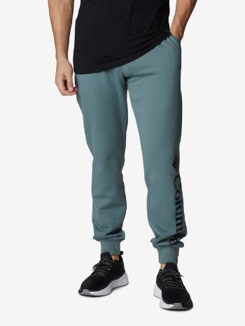 Columbia Pantaloni de trening Verde