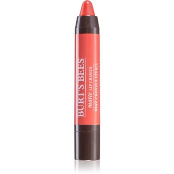 Burt’s Bees Lip Crayon ruj in creion cu efect matifiant culoare 417 Niagara Overlook 3.1 g
