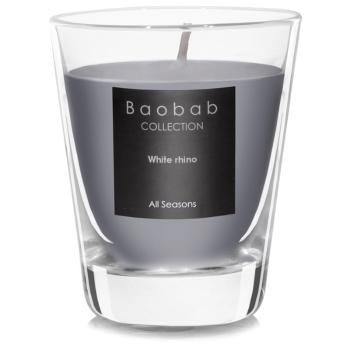 Baobab All Seasons White Rhino lumânare parfumată  (votive) 6.5 cm