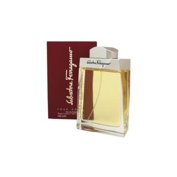 Salvatore Ferragamo Pour Homme Eau de Toilette pentru bărbați 100 ml