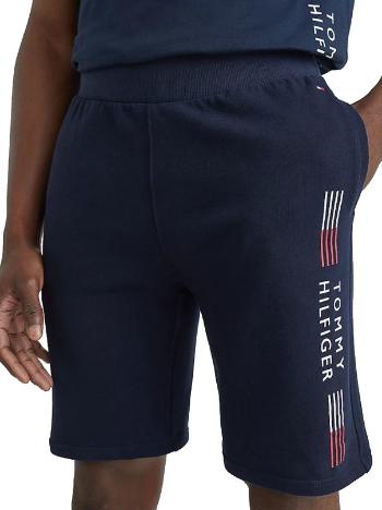 Tommy Hilfiger Pantaloni scurți pentru bărbați UM0UM02428-DW5 L