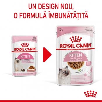 ROYAL CANIN Kitten, plic hrană umedă pisici, (în sos), 85g