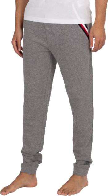 Tommy Hilfiger Pantaloni de trening pentru bărbați Regular Fit UM0UM02352-P4A L