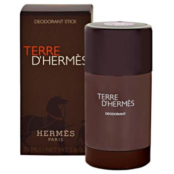 Hermès Terre d’Hermès deostick pentru bărbați 75 ml