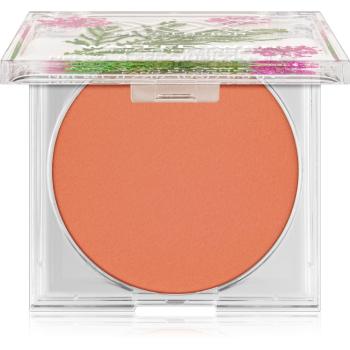 XX by Revolution BOTANICAL WALLFLOWER blush mat cremos culoare Folklore 6,5 g