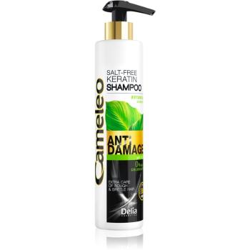 Delia Cosmetics Cameleo BB Sampon cu keratina pentru par deteriorat 250 ml