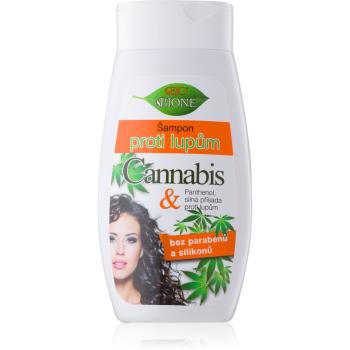Bione Cosmetics Cannabis sampon anti-matreata 260 ml
