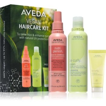 Aveda Haircare Kit set cadou (pentru păr)