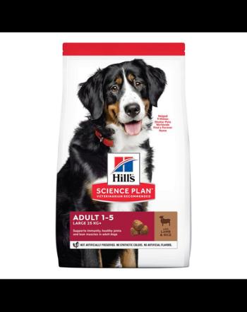 HILL'S Science Plan Adult Large hrană uscată pentru câini de talie mare, miel și orez 14 kg