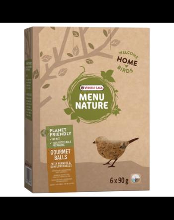 VERSELE-LAGA Menu Nature Recompense pentru pasari salbatice, cu nuci si seminte 540g