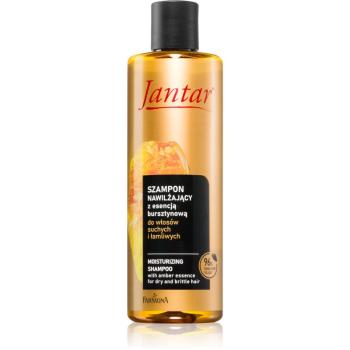 Farmona Jantar Amber Essence sampon hidratant pentru par uscat 300 ml