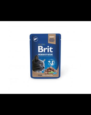 BRIT PREMIUM Pouch Liver Sterilized 24x100g hrana umeda pisici sterilizate, cu ficat