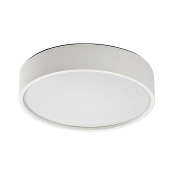 Plafonieră cu LED Rabalux 75012 Larcia, 19 W, argintiu