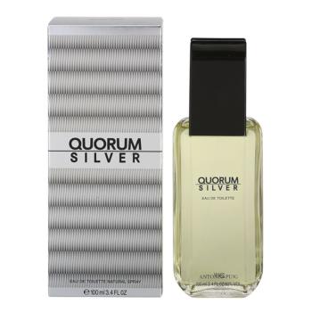 Antonio Puig Quorum Silver Eau de Toilette pentru bărbați 100 ml