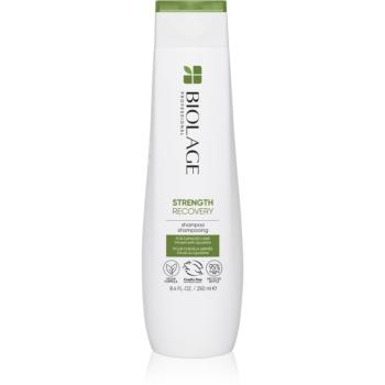 Biolage Strength Recovery șampon pentru par deteriorat 250 ml