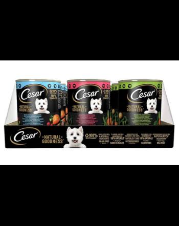 CESAR Natural Goodness conserve caini adulti 12x400g bogat in carne de pui, vita, miel