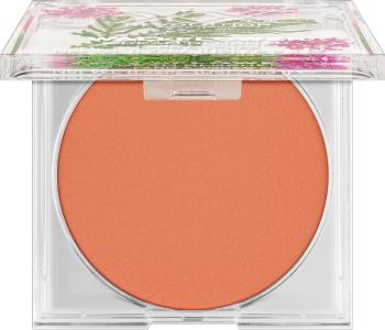 XX Revolution Fard de obraz Botanical Wallflower (Cream Blusher) 6,5 g Folklore