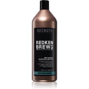 Redken Brews șampon stimulator, cu mentol, pentru păr și scalp 1000 ml