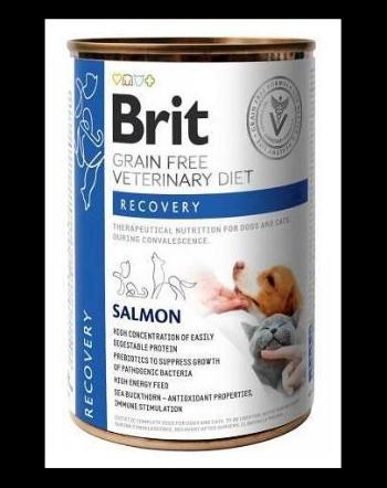 BRIT Veterinary Diet Recovery Salmon hrana caini si pisici in convalescenta 400 g