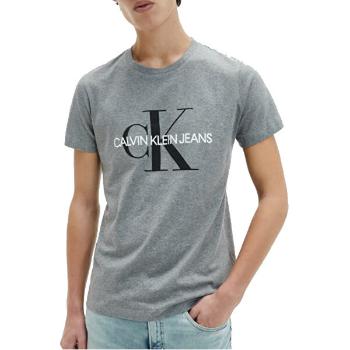 Calvin Klein Tricou pentru bărbați,J30J314314-P2F XL