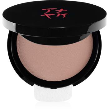 Annayake Silky Compact Foundation make-up compact culoare Rose 20 9 g