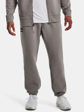 Under Armour Pantaloni de trening Gri