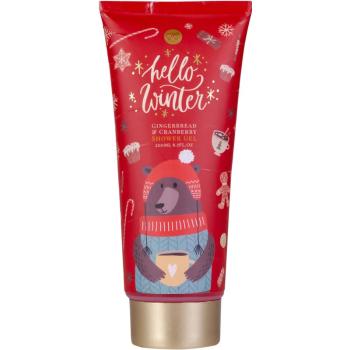 Accentra Hello Winter gel de duș Gingerbread & Cranberry 200 ml