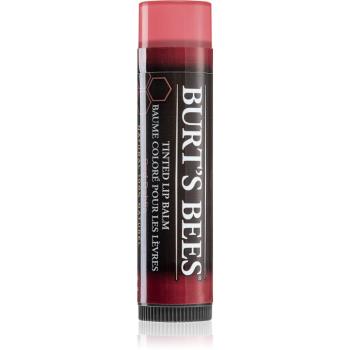 Burt’s Bees Tinted Lip Balm balsam de buze culoare Red Dahlia 4.25 g