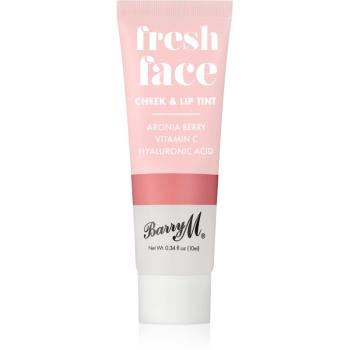 Barry M Fresh Face blush lichid și luciu de buze culoare Summer Rose 10 ml