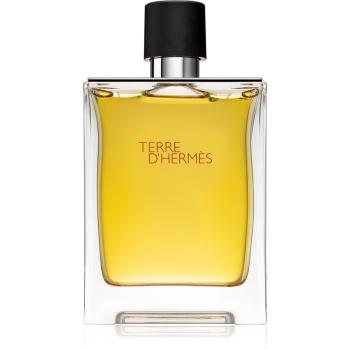 Hermès Terre d’Hermès parfum pentru bărbați 200 ml